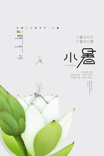 小暑时节清新荷花绽放
