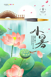 小暑时节荷花绽放美景