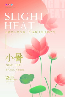 小暑时节荷花绽放图