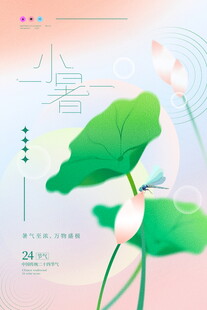 小暑时节荷叶荷花美景