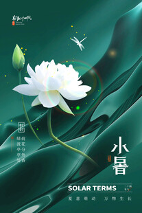 小暑时节的清雅荷花图
