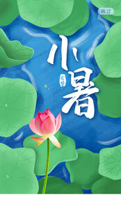 小暑时节荷花荷叶图