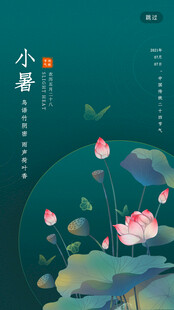 小暑时节荷花绽放图景