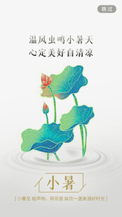 小暑时节的国风荷花图景