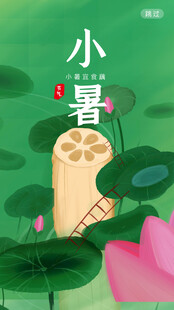 小暑时节荷花与藕景