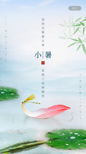 夏日荷塘中的唯美荷鸟画