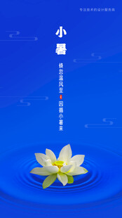 小暑时节绽放的水中白莲