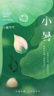小暑时节荷花荷叶景致