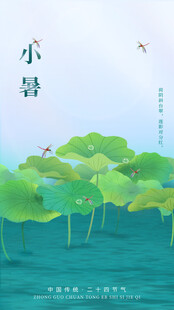 小暑时节的荷塘美景