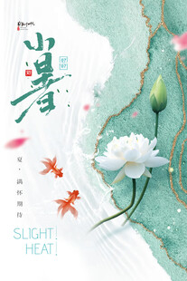 夏日荷塘诗意景致