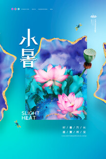 小暑时节荷花绽放美景
