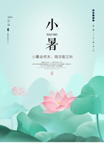 小暑时节荷花绽放美景