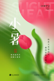 小暑时节的娇艳花卉
