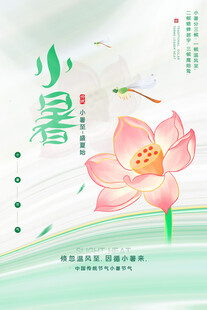小暑时节荷花绽放图