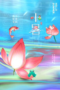 小暑时节的荷花池塘风景