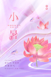 小暑时节的唯美荷花图景