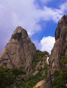 巍峨山峰与葱郁植被景观