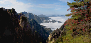 黄山壮丽云海与奇峰景观