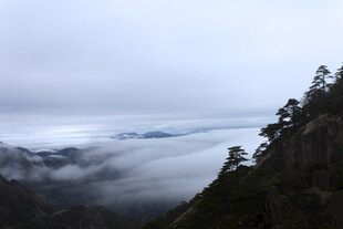 山间云海与葱郁林木景观