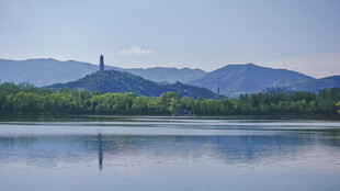 湖光山色中的孤塔风景