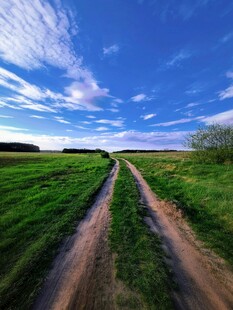 乡间土路绿野蓝天之景