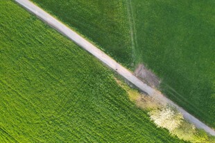 航拍绿色田野中的道路