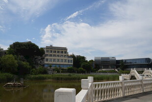 校园湖畔景致