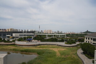 城市开阔景观与建筑群落