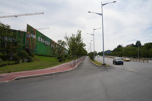 城市道路边的绿化景观