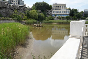 湖畔风景