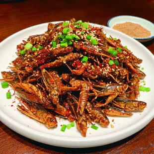 香辣酥脆的美味炸蚂蚱