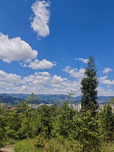 蓝天白云下的山林美景