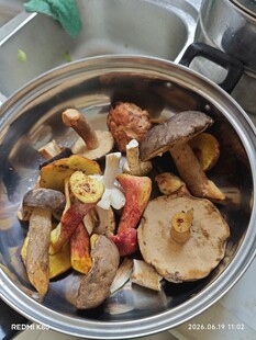 锅中多种菌类食材待烹饪