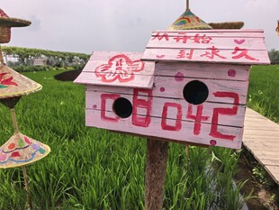 稻梦空间 稻田中的创意艺术鸟巢