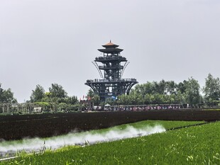 稻梦空间湖畔宝塔与翠绿草坪景观