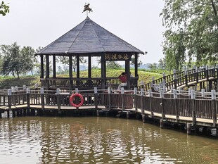 稻梦空间 湖畔凉亭景致