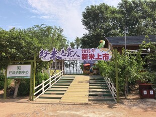 稻梦空间景区入口