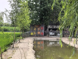 稻梦空间乡村田园水景风光一角