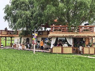 稻梦空间 稻田边cafe