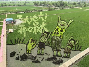 稻梦空间创意稻田艺术景观