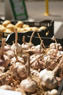新鲜大蒜堆放在一起展示