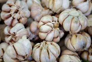 一堆新鲜大蒜特写