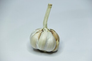 一颗饱满的新鲜大蒜