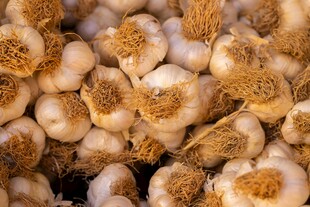 饱满大蒜堆新鲜蒜香浓