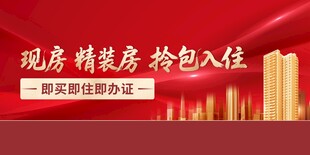 现房精装房 拎包入住优惠