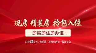 现房精装房拎包入住