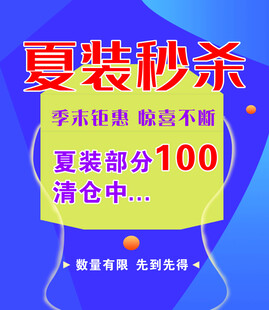 夏装秒杀100元清仓中