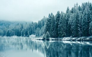 冬日静谧湖景雪覆山林
