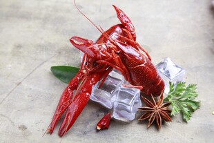 冰镇小龙虾配香料点缀