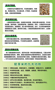 胚芽米功效